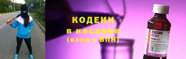 хмурый Касимов