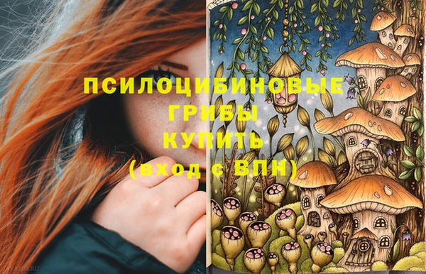 хмурый Касимов