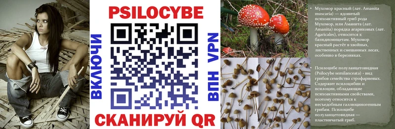 Галлюциногенные грибы прущие грибы  Купить где  Белореченск 